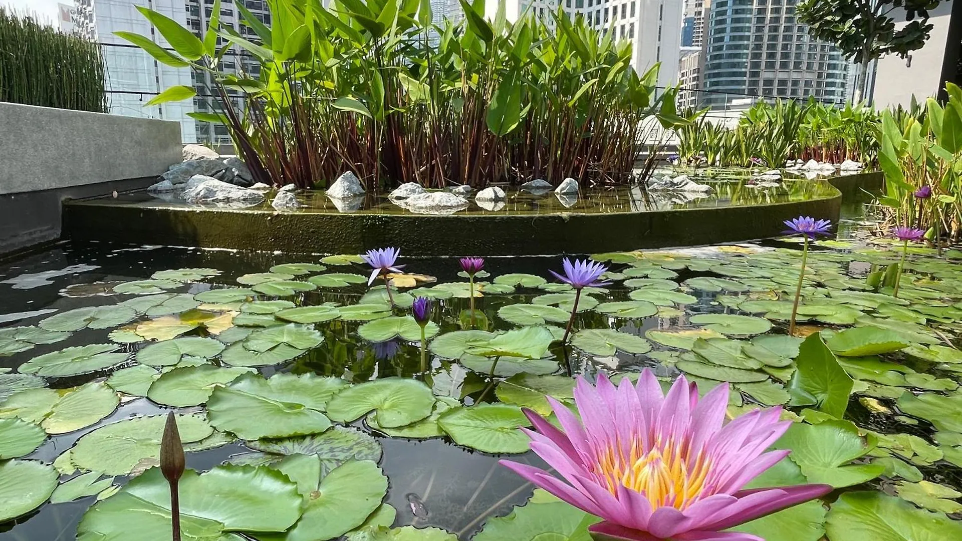 Axon Residence Pavilion Kuala Lumpur Appartamento